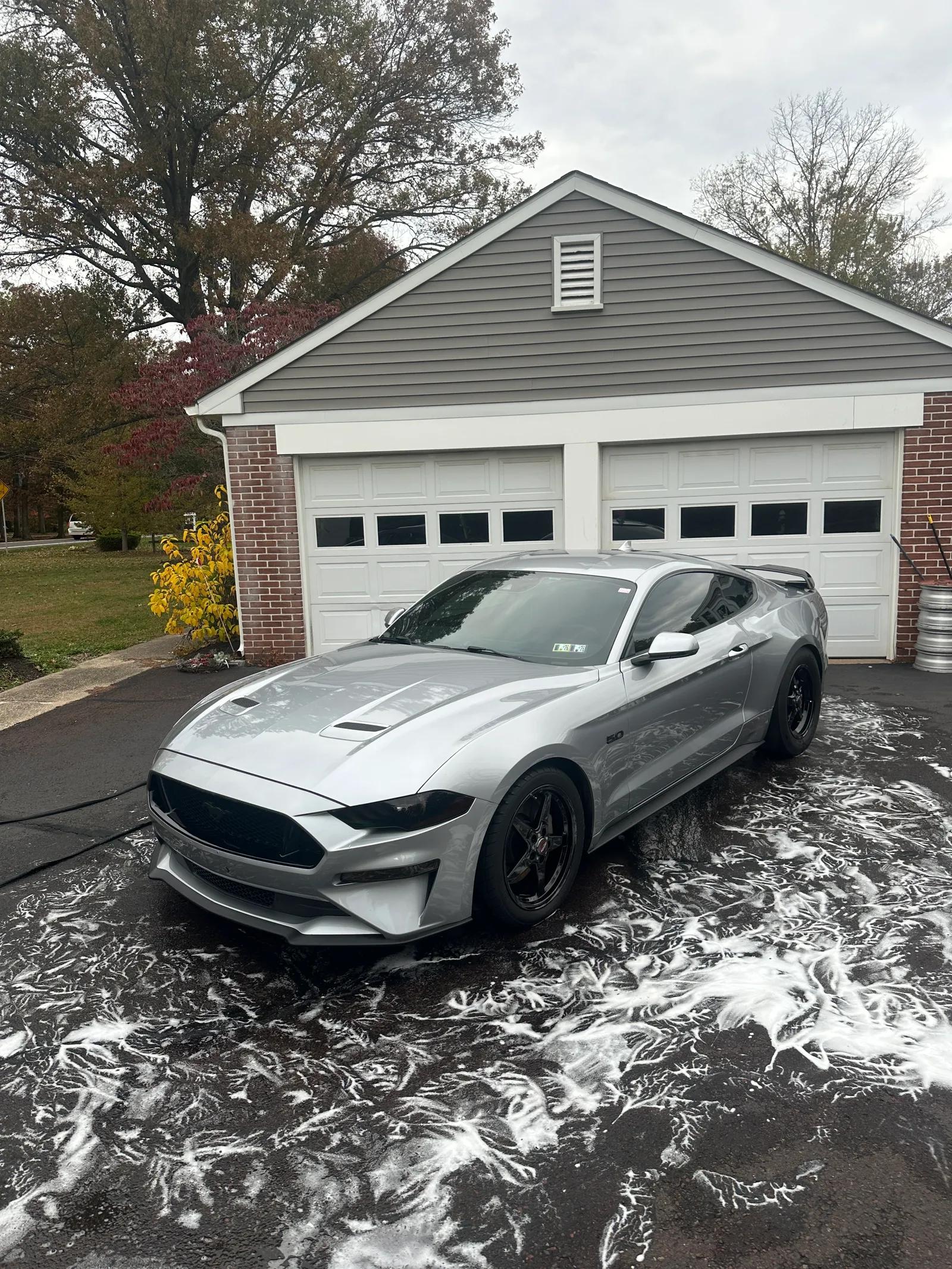 BMW — exterior detail by GNelson Detailing